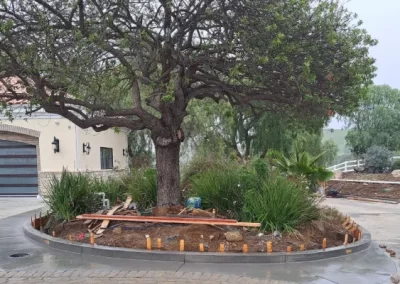 Professional concrete services