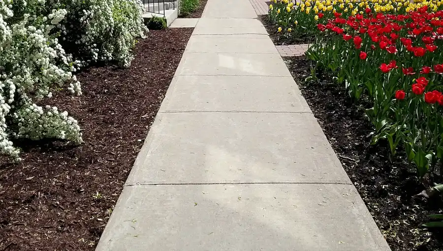 How Concrete Sidewalk Repair Prevents Trip Hazards in Oxnard CA